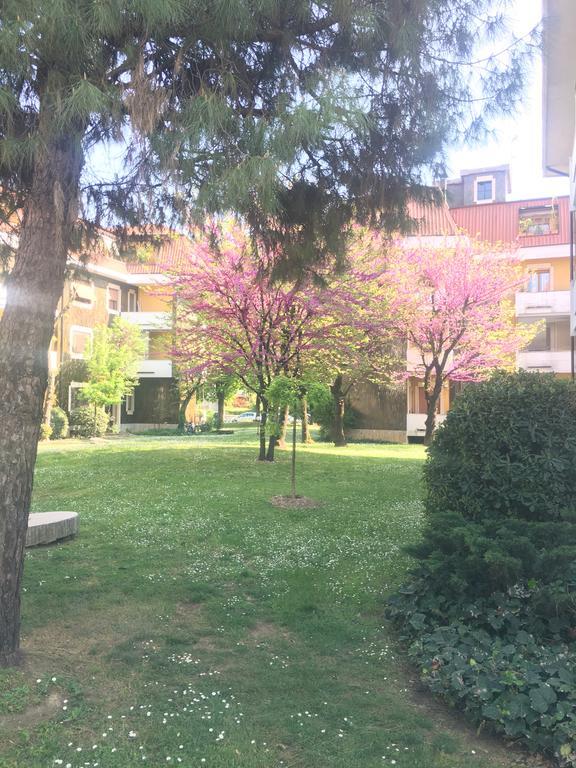 Il Contrabbasso Cremona Luaran gambar
