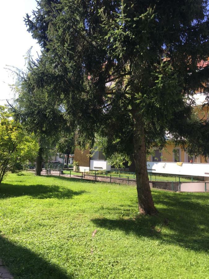 Il Contrabbasso Cremona Luaran gambar
